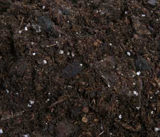 photo of potting soil
