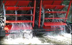 photo of riverboat water wheels