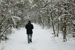 photo of person walking in snow