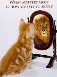 photo of kitten looking in mirror and seeing a lion. caption: what matters most is how you see yourself
