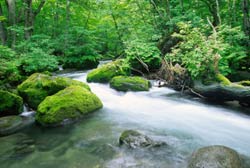 photo of flowing river