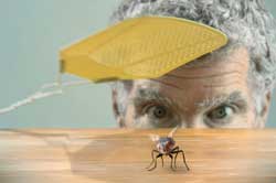 photo of man swatting a fly