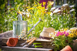 photo of garden tools